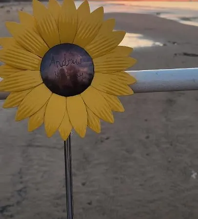 The Lawrence, - 2 Bedroom Victorian House - Free On-street Permit Parking, Fast Wifi, Virgin Tv - Perfect For Contractors, Families And Couples * 雷德卡